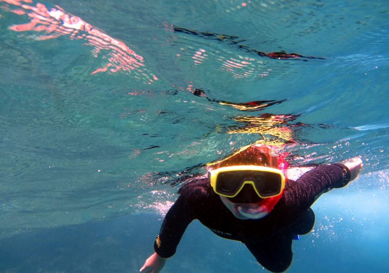 speed boat – SCHNORCHELtour